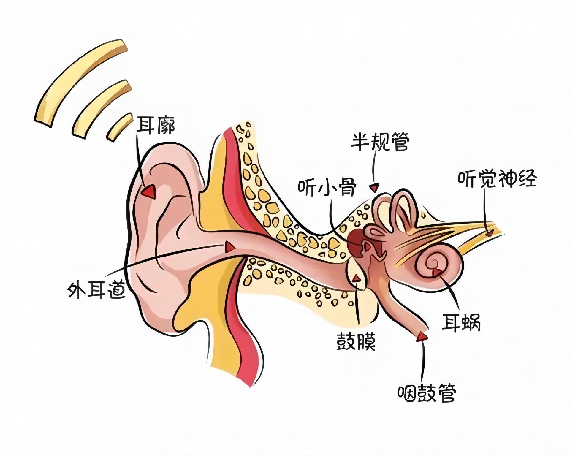 v2-045ac866346ce2ec712e7a7d131611ff_r_副本.jpg