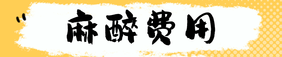 麻醉費(fèi)用.png