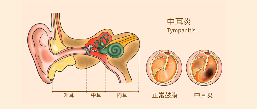 微信圖片_20240823152416.png